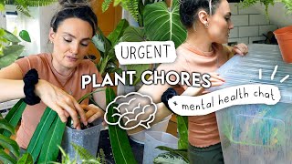 Realistic + Overdue Catch Up On Plant Chores 🌱 Repotting, Rehabbing + ADHD Chatter