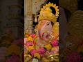 Ganpati Bappa Shreemant Dagdusheth Halwai Ganpati Mandir Pune Maharashtra Shorts Ganpati
