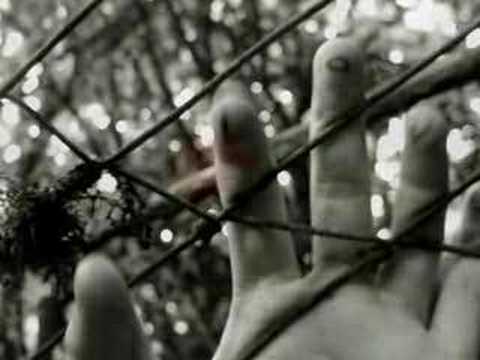 Altin Shira -Te keputa porsi nje lule