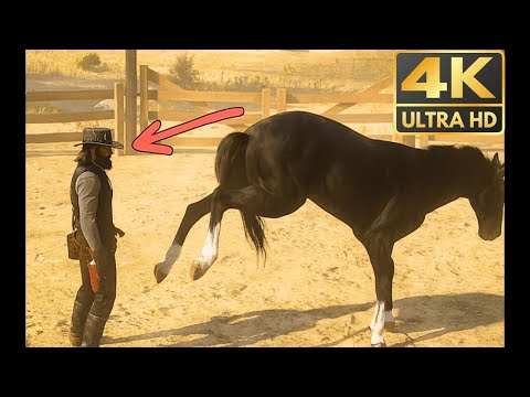 Die 30 tödlichsten Tritte unglaubliche Momente in denen Pferde angriffen