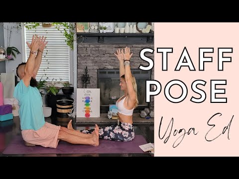 How to do Staff Pose | Staff Pose aka Dandasana | Yoga Education with Stephanie
