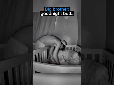 The Sweetest Sibling Interaction Caught On Camera…