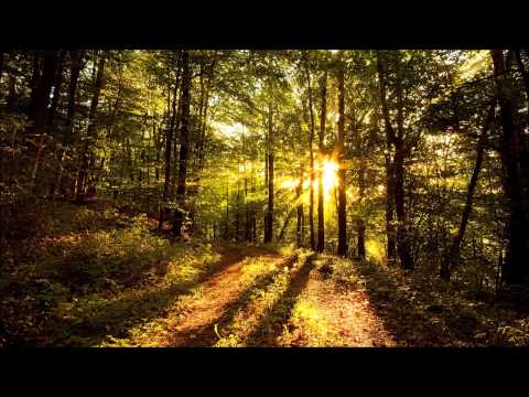 Dominik Marz & Leon Holstein - Girls,Girls