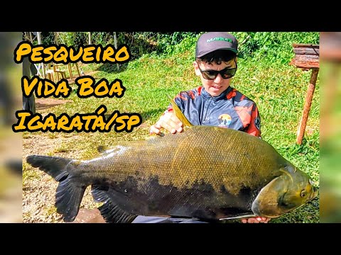 PESQUEIRO VIDA BOA  !!!  LOCALIZADO EM IGARATÁ INTERIOR DE SÃO PAULO  !!!  SISTEMA BÓIA PÃO  !!!