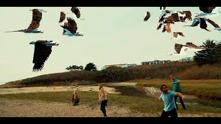 Trailer Preview Image