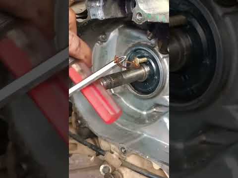 Remove oil seal