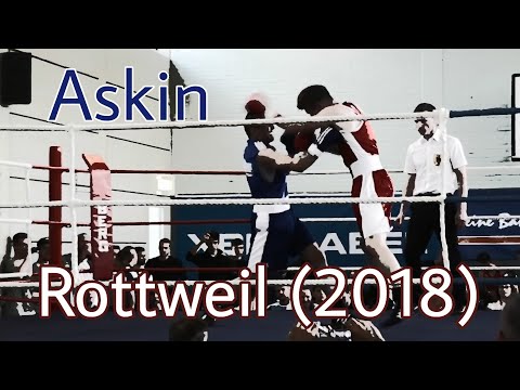 Impacto Stuttgart, Team Boxen (Rottweil '18)