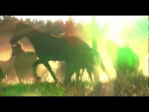 Colorado Dude Ranch Vacations - Black Mountain Ranch