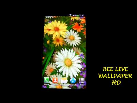 Bee Live Wallpaper HD Video