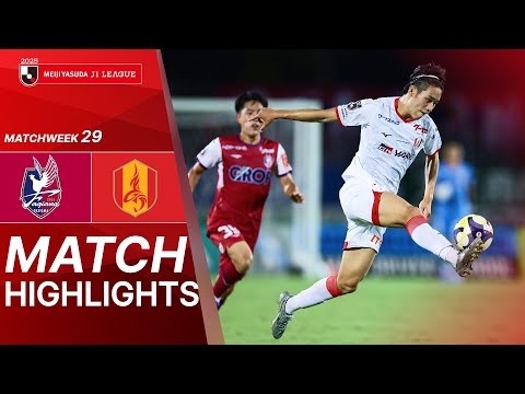 bg-highlight