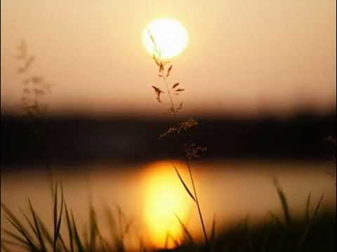 Les nuits de Moscou (Подмосковные вечера) en français