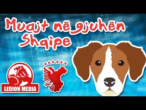 Muajt Shqip (Me Muzike) │ Bleta