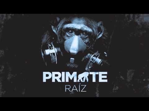 Raíz - Primate