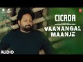 Vaanangal Maanje Audio Song CICADA Movie Jaise Jose Rajith CR Adithya Sony Sreejith Edavana