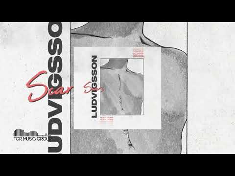 Ludvigsson ft.Jobe - Scars [Official Audio]