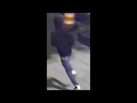 Persons of Interest in Robbery (Snatch), 600 b/o 14th St, NW, on June