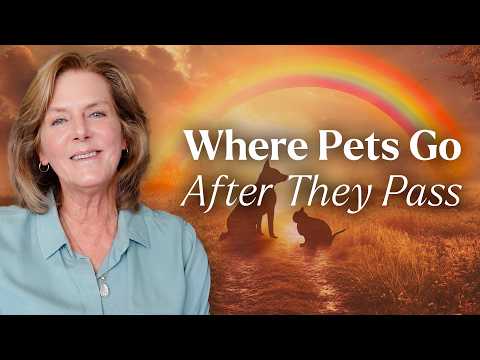 The Rainbow Bridge: Where do Pets Go When They Die? | Tami Hendrix