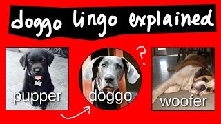 Diagram your Doggos