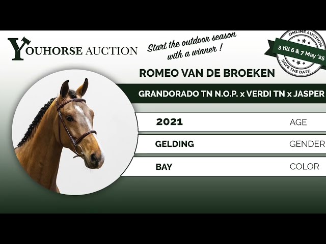 Romeo van de Broeken homevideo