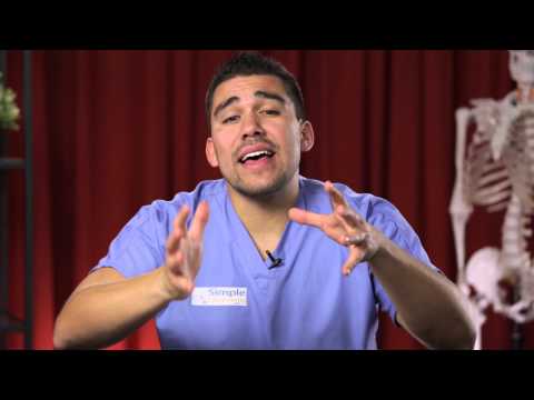 Spleen physiology What does the spleen do in 2 minutes