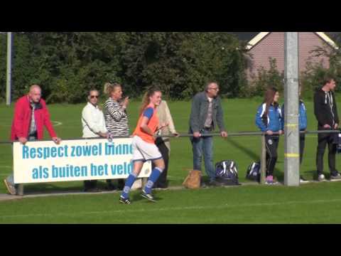 Samenvatting VIOD VR1 -  TKB VR1