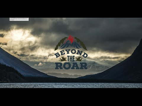 Beyond The Roar - Official Trailer
