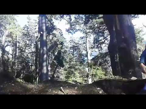 ESTE VIDEO PERTENECE A DIARIO 7 LAGOS: Visitas guiadas convocadas por la Comunidad