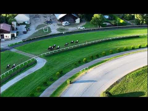 Dostihy Chuchle Arena Praha 17. 9. 2023 - 8. dostih - Cena Dally Hit