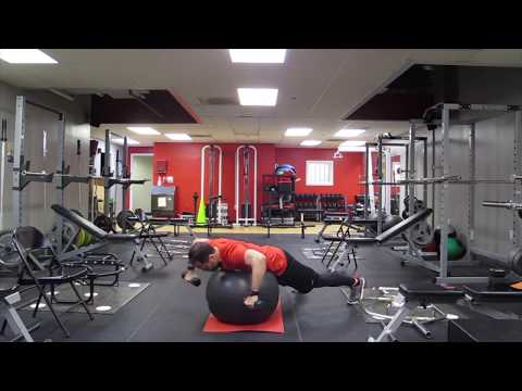 Swiss Ball Dumbbell L Raise