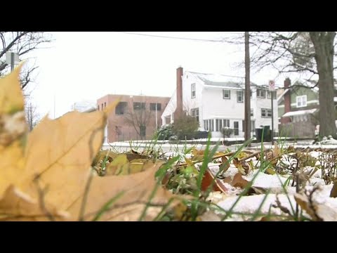 Benefits of not raking your leaves