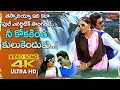 Nee Kokakintha Kulukenduku Song 4K Chiru Bhanupriya Superb Song Donga Mogudu Old Telugu Songs