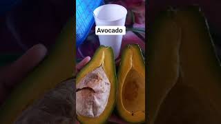 Download lagu avocado alpukat #viral #avocado #alpukat #short mp3