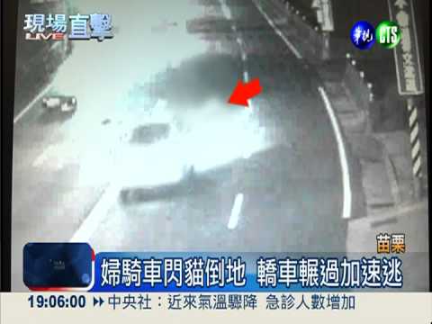 婦騎車閃貓倒地 連遭2車輾死