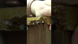 How to fix broken corners with BONDO - Furniture Flipping &amp; Repair #diy #furniture