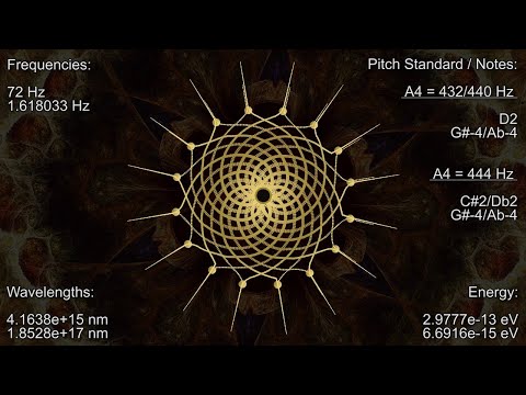 Anthony Sommer and Lucid Collective