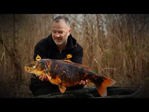 Karpfenangeln 146 Videotagebuch - My first carp 2014