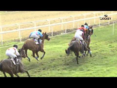 5 Carrera, premio Cruzcampo, 24 de enero 2016 - Gran Hipódromo de Andalucía