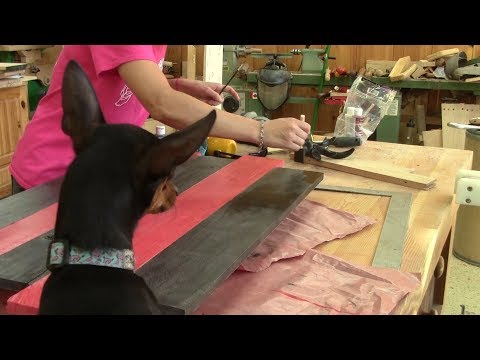 L'gosseux d'bois Ep 192 - Cadres avec une tête de chevreuil