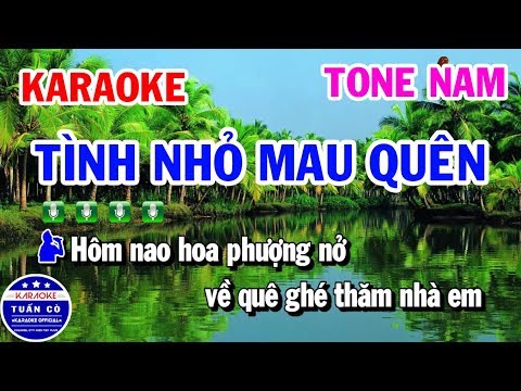 Karaoke Tình Nhỏ Mau Quên | Nhạc Sống Tone Nam Beat Thịnh | Karaoke Tuấn Cò