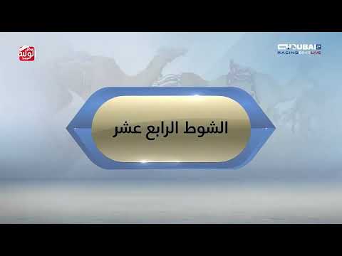 ملخص السباق  ، تمهيدي المرموم 2025/10/24 حقايق