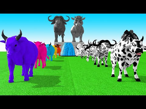 Paint Animals Cow Cartoon,Buffalo,Bull,yak,Ox, Bison Fountain Crossing Animal Transformation Game