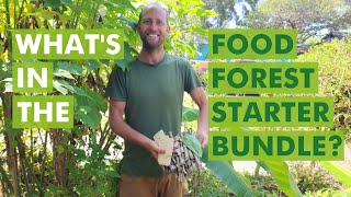 The Food Forest Starter Bundle: What’s in the Bundle?