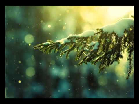 Eminstein - Zelena zima (2011)