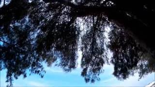 What A Day For A Daydream On AMI