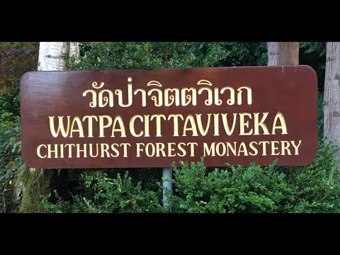 Guided Meditation - 7:30pm Sunday 9 July 2023