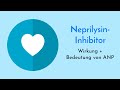Klinische Bedeutung Des ANP Wie Funktioniert Ein Neprilysin Inhibitor Wirkung Und Medikamente