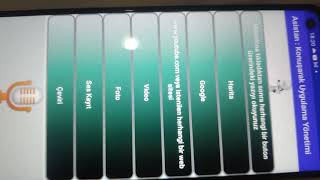 Diana Phone Assistant video preview