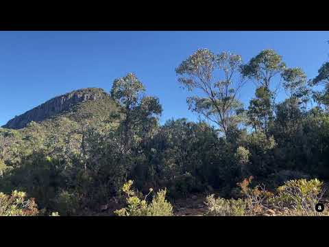 Thumbnail of the embedded YouTube video