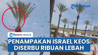 Potret Israel Keos Diserbu Ribuan Lebah, Pesawat Militer Dikepung, Otoritas Beri Peringatan Darurat