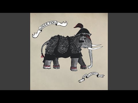 Spend the Night - Deer Tick